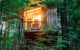 Baumhaushotel Solling